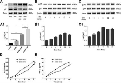 The Influenza A Virus H3N2 Triggers the Hypersusceptibility of Airway Inflammatory Response via Activating the lncRNA TUG1/miR-145-5p/NF-κB Pathway in COPD